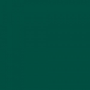 СПОРТИВНЫЙ ЛИНОЛЕУМ TARKETT OMNISPORTS R65 / FOREST GREEN