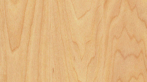 Линолеум Gerflor Sport Taraflex Comfort / 6381 Wood - Maple design
