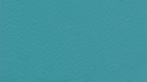 Линолеум Gerflor Sport Taraflex Comfort / 6431 Teal
