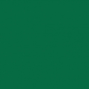 СПОРТИВНЫЙ ЛИНОЛЕУМ TARKETT OMNISPORTS R65 / FIELD GREEN