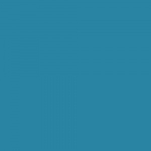 Спортивный линолеум PROFI / BIGFOOT 6.0/1.0 / OCEAN BLUE