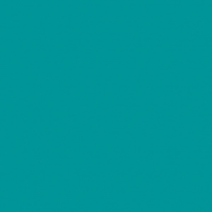 СПОРТИВНЫЙ ЛИНОЛЕУМ TARKETT OMNISPORTS R65 / TEAL