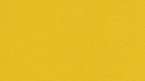 Линолеум Gerflor Sport Taraflex Comfort / 6211 Gold