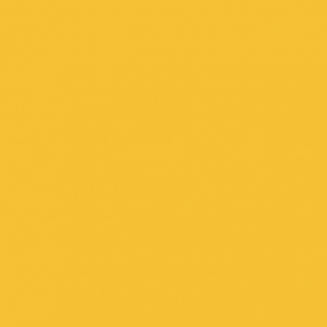 СПОРТИВНЫЙ ЛИНОЛЕУМ TARKETT OMNISPORTS R65 / YELLOW