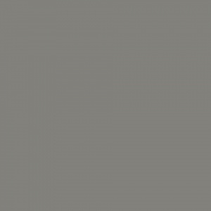 СПОРТИВНЫЙ ЛИНОЛЕУМ TARKETT OMNISPORTS R65 / GREY