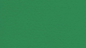 Линолеум Gerflor Sport Taraflex Comfort / 6570 Mint Green