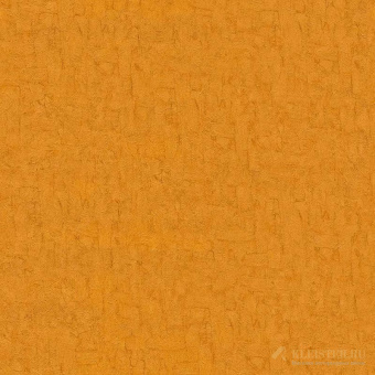 220081