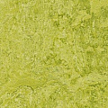 Натуральный линолеум Forbo MARMOLEUM REAL 2,5 мм Натуральный линолеум Forbo MARMOLEUM REAL 2,5 мм