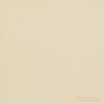 17123